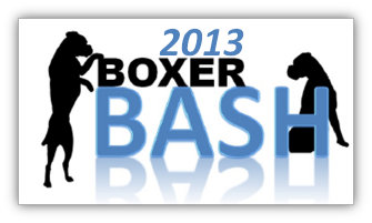 theboxerrescuehomepage001008.jpg