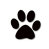 theboxerrescuehomepage002001.jpg