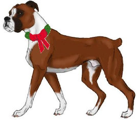 theboxerrescuehomepage003024.jpg