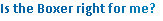 theboxerrescuehomepage023021.jpg