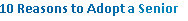 theboxerrescuehomepage027003.jpg