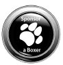 theboxerrescuehomepage034008.jpg