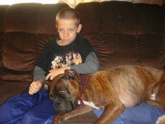 theboxerrescuehomepage041003.jpg