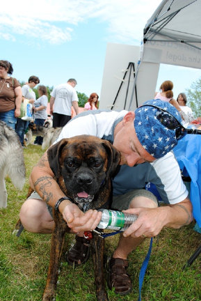 theboxerrescuehomepage104026.jpg