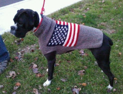 theboxerrescuehomepage152002.jpg